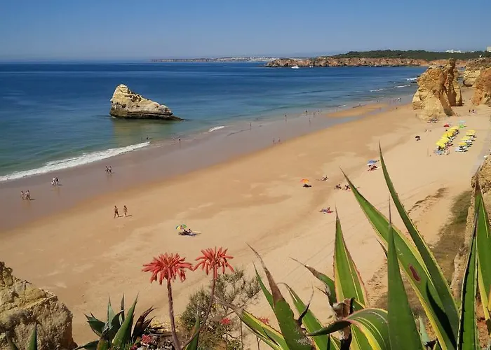 Ruby Red & Atlantic Blue In Oceano Atlantico *
